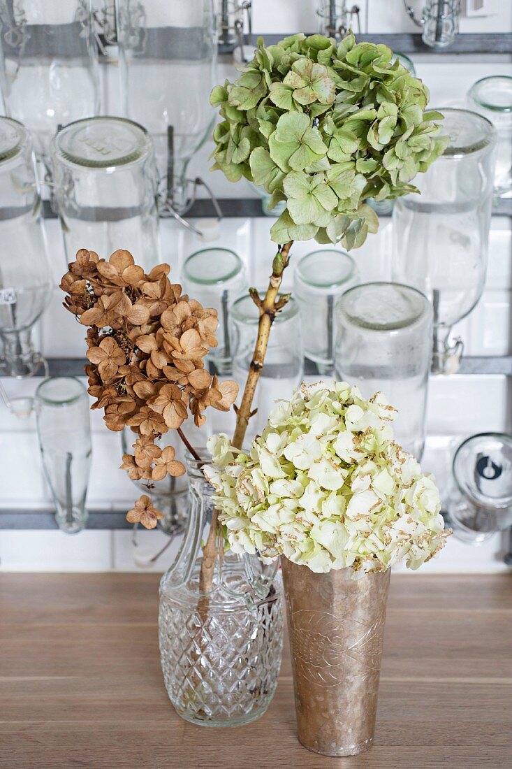 Dried hydrangeas in front of bottle-drying rack