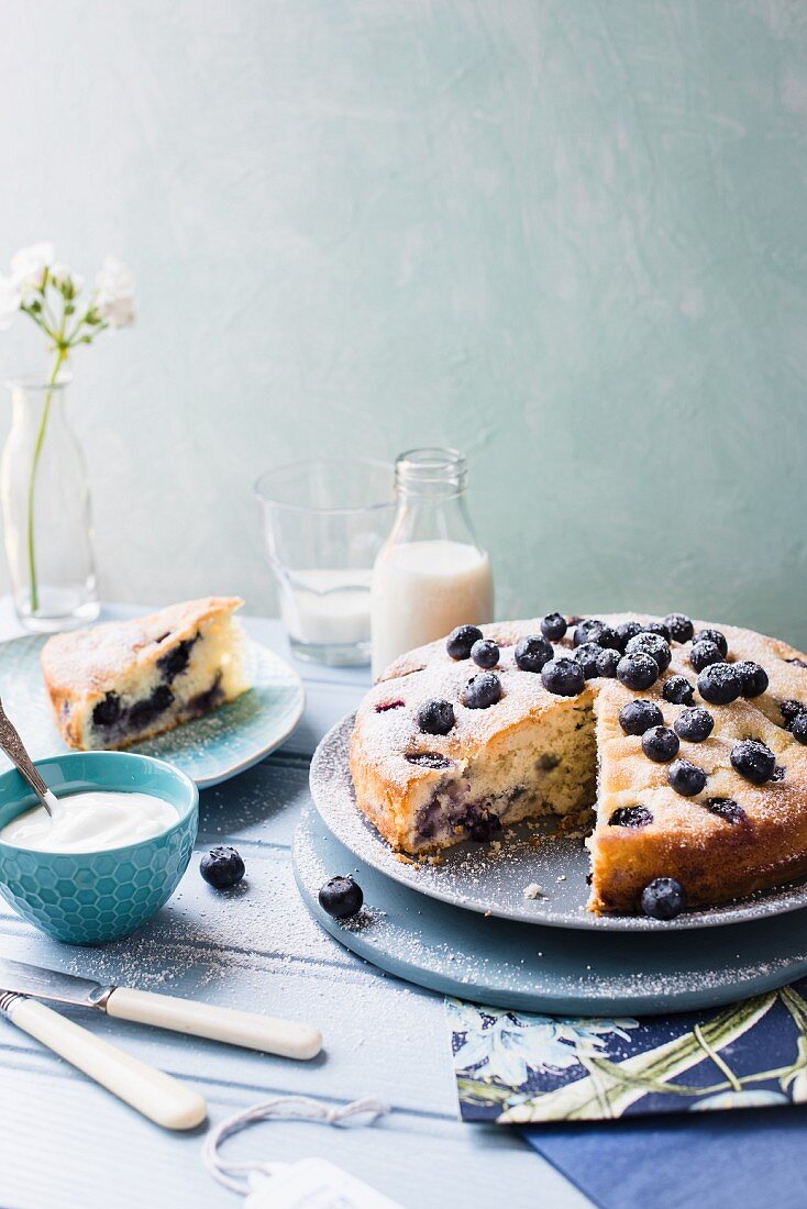 Sliced blueberry cake with yoghurt