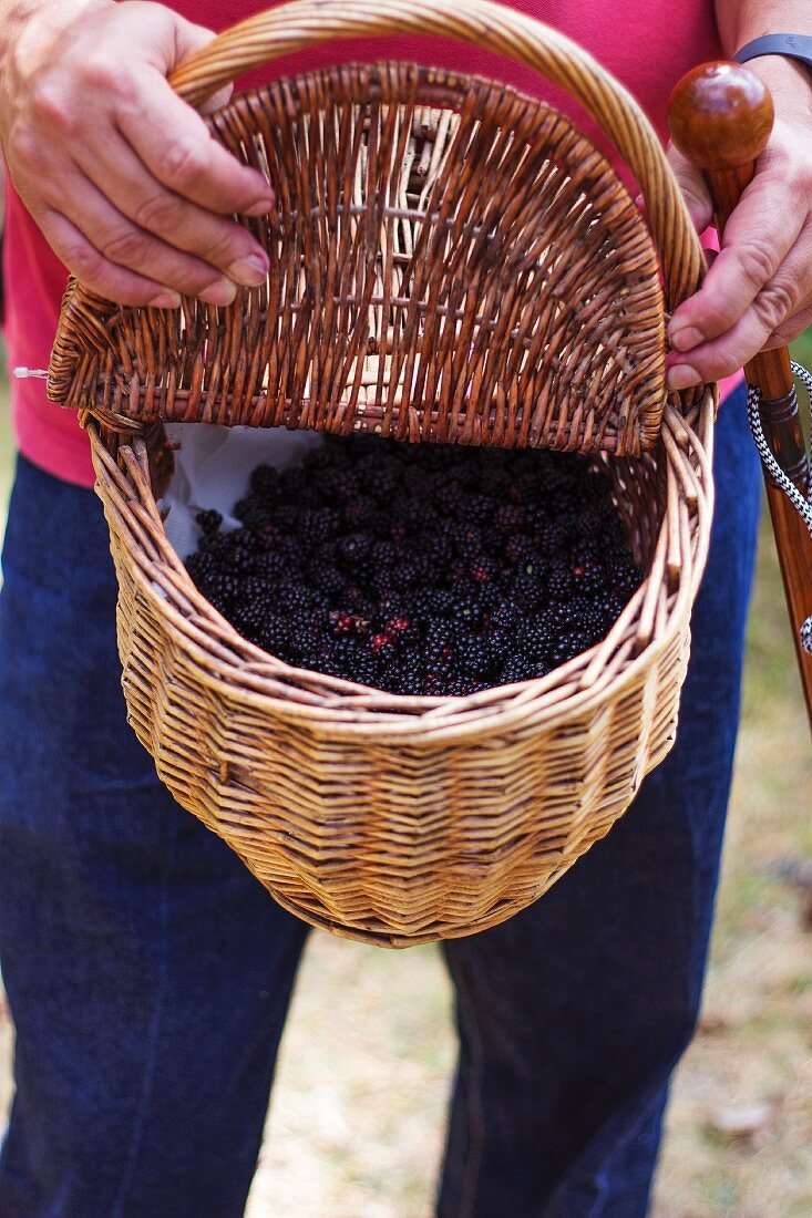 A man holding a basket of freshly picked blackberries
