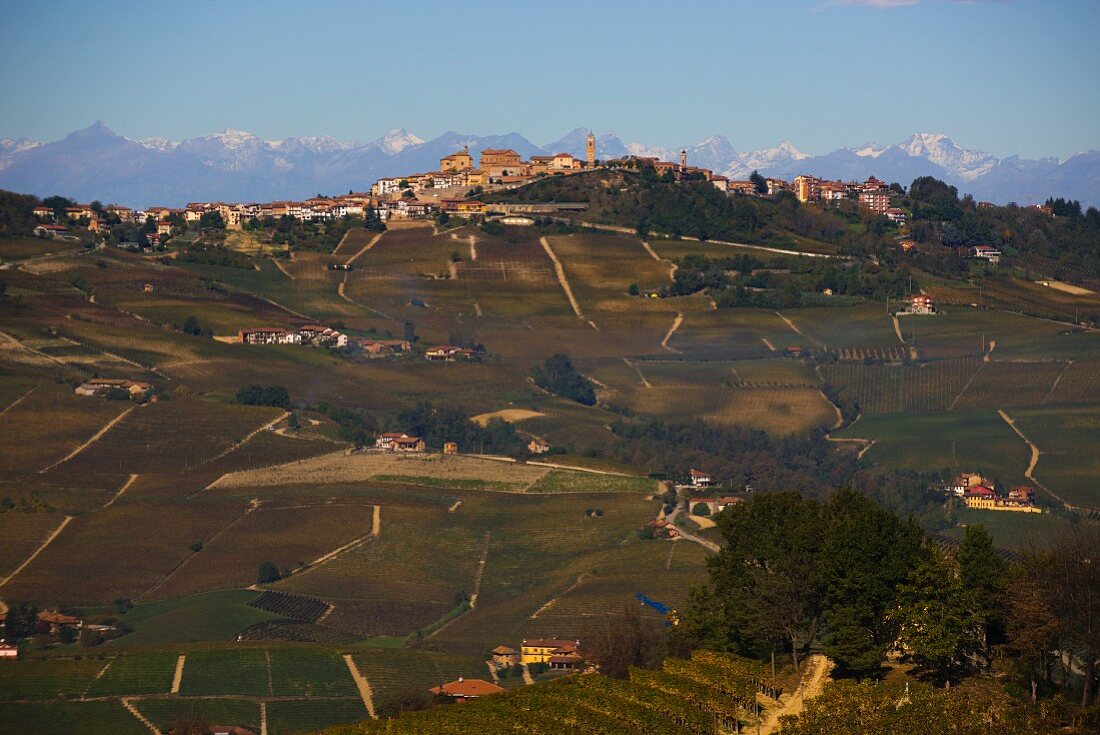 The winegrowing region of La Morra with vineyards in the middle of the Barolo DOCG cultivation area