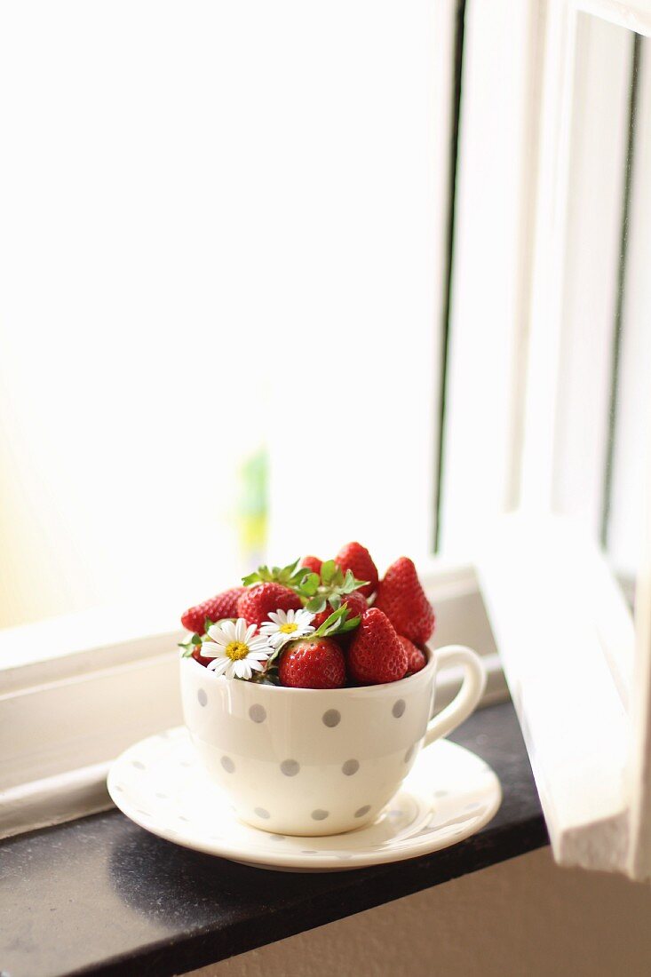 Fresh strawberries in a spotted cup on a windowsill