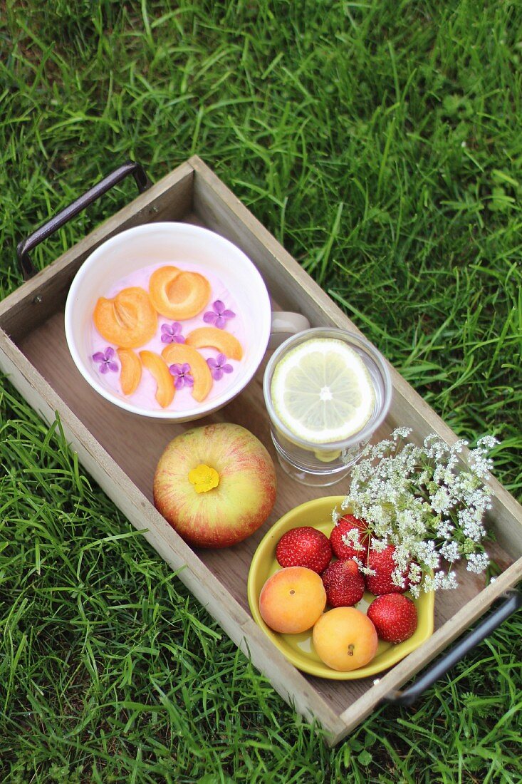 Yoghurt, fruit and drinks on a wooden table on the grass