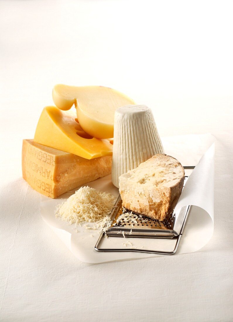 Five grateable hard cheeses, grated cheese and a cheese grater