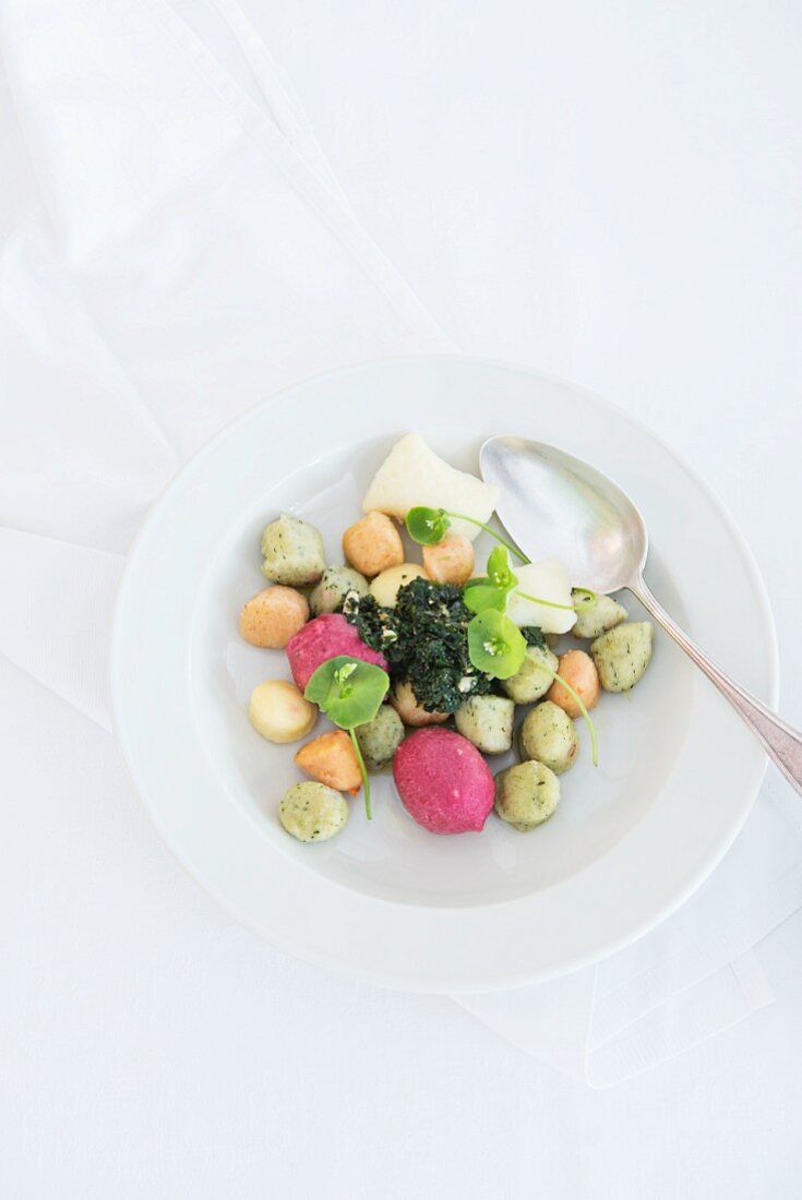 Mixed gnocchi with rocket pesto and purslane on a porcelain plate