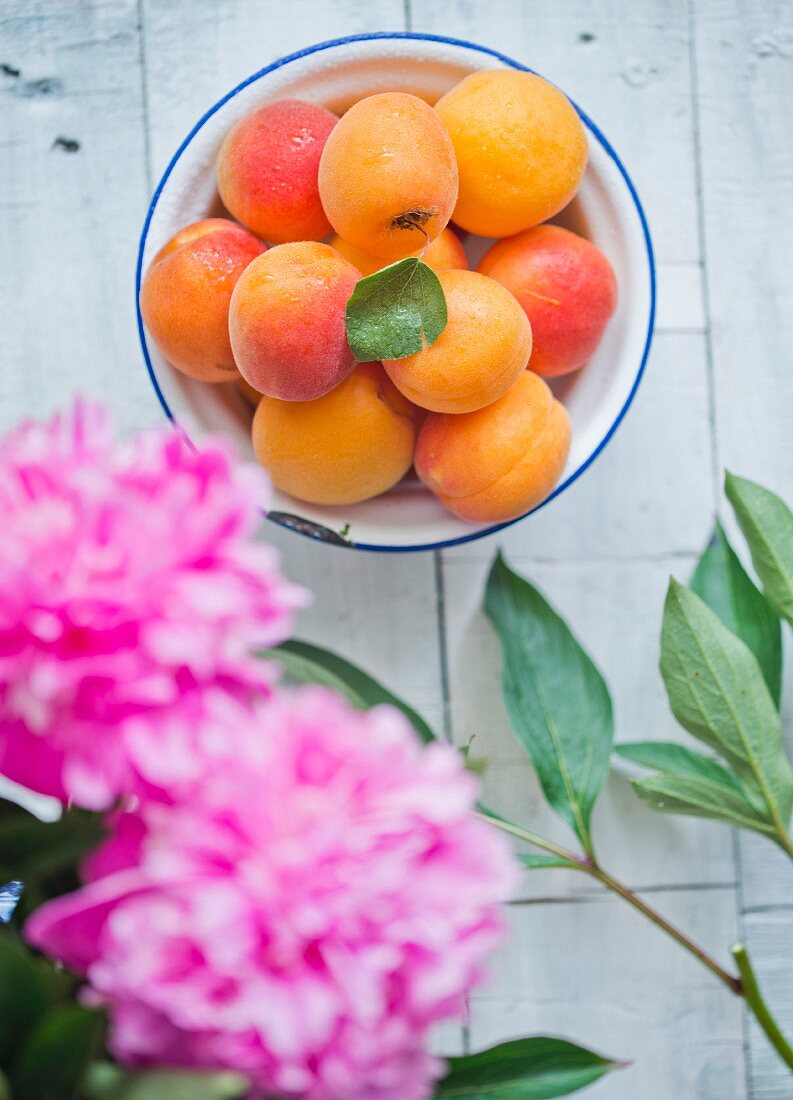 Fresh apricots in an enamel bowl