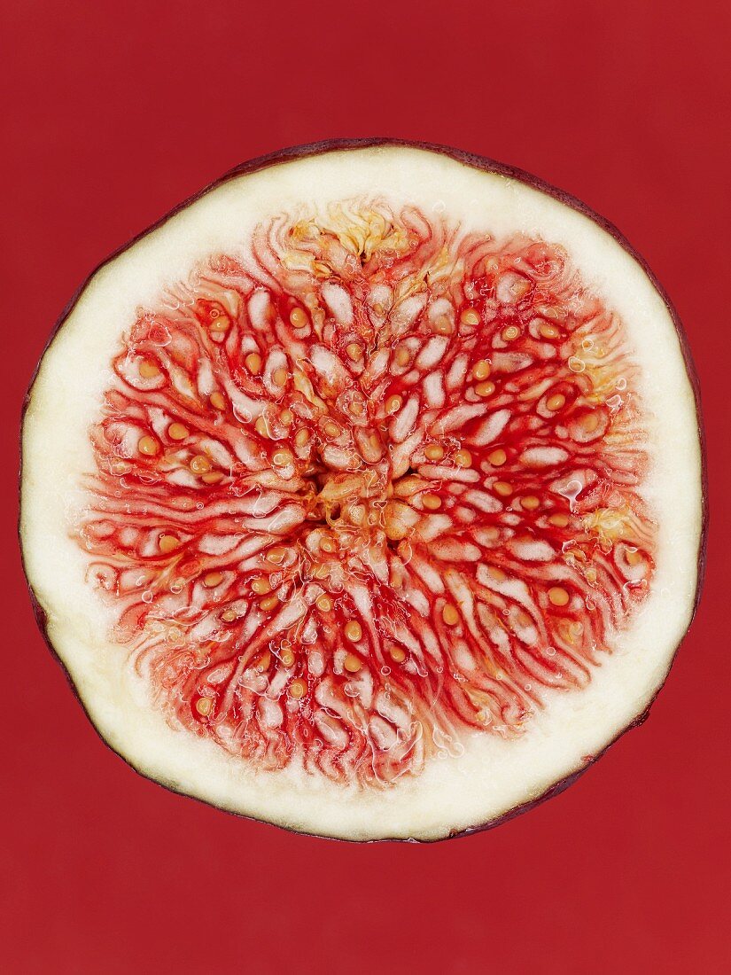 A slice of red fig on a red surface, close-up