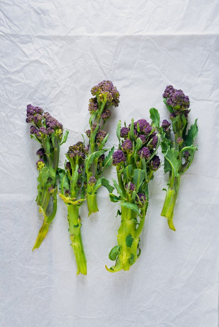 Purple sprouting broccoli (seen from above)