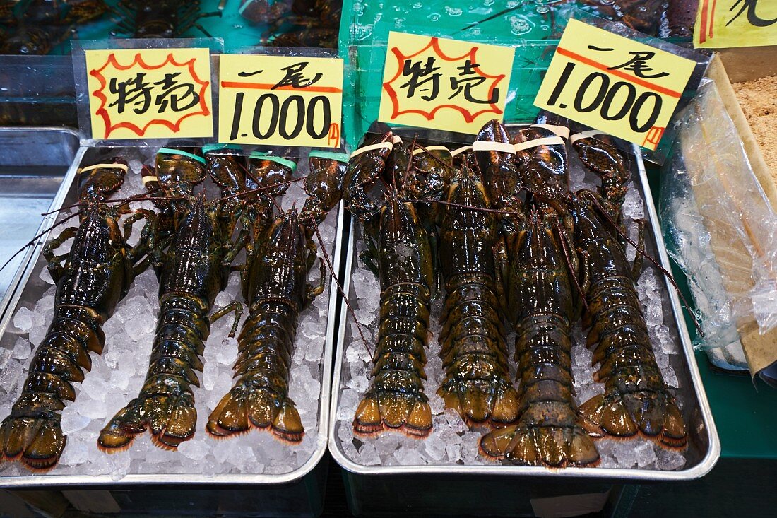 Lobster at the Tsukiji fish market in Tokyo, Japan