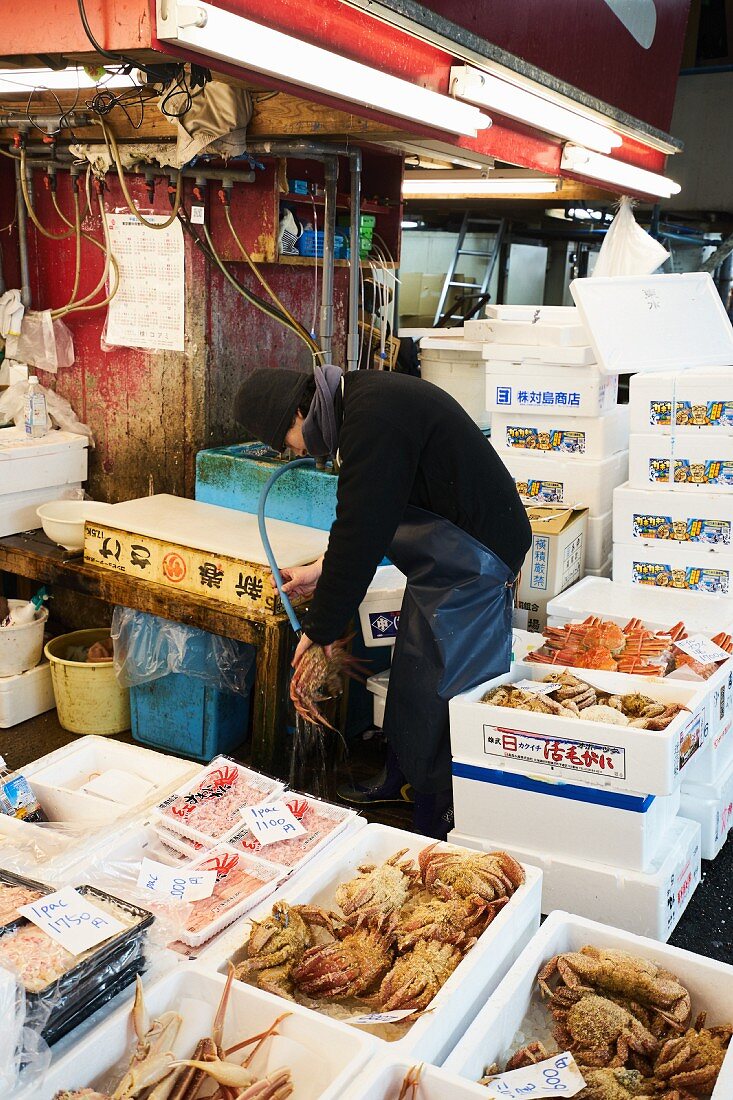 Crustaceans at the Tsukiji fish market in Tokyo, Japan