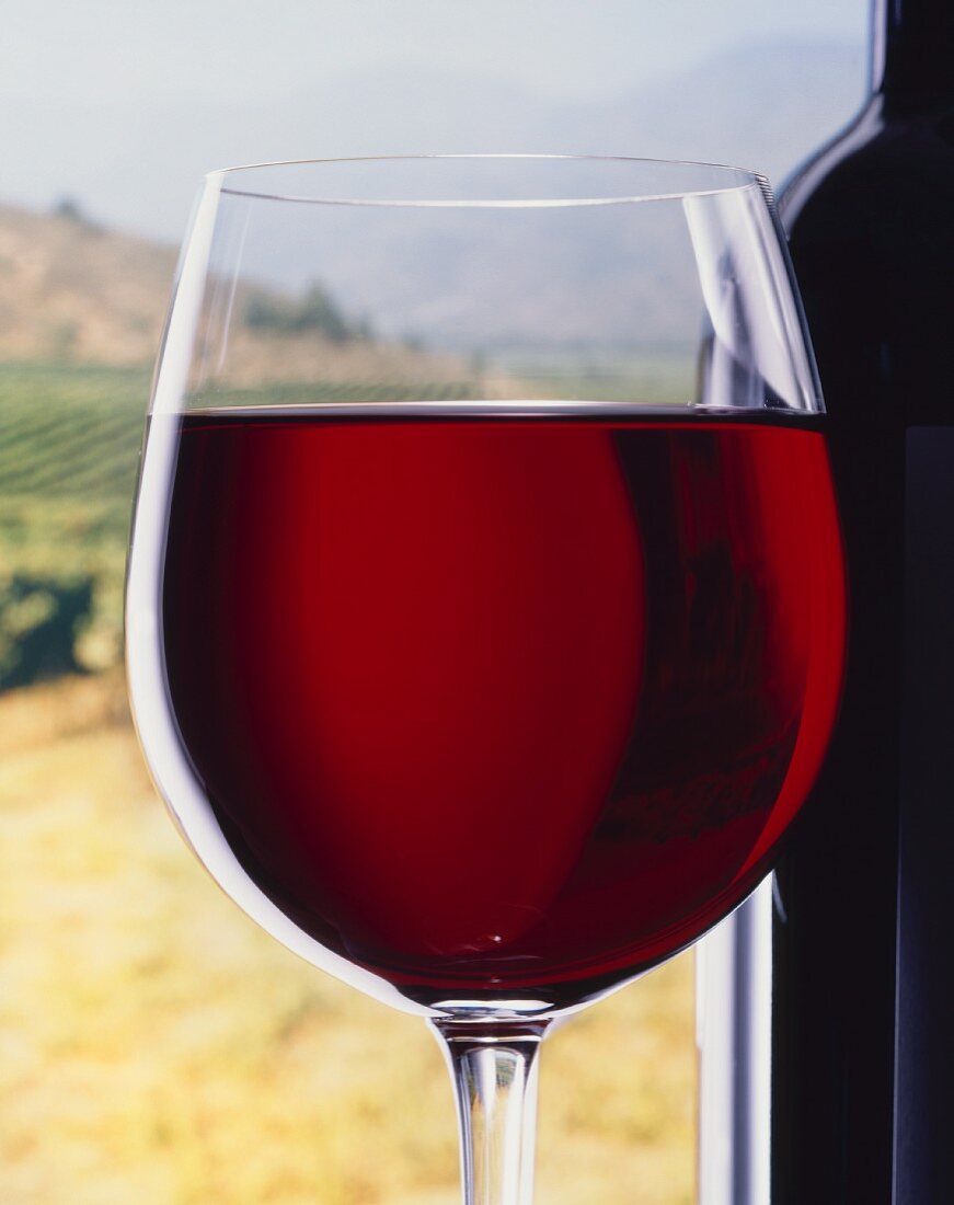 Glass of Red Wine with View of Vineyard Behind