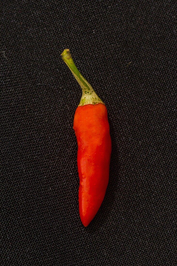 Chilli 'Bird'S Eye' (a very spicy chilli)