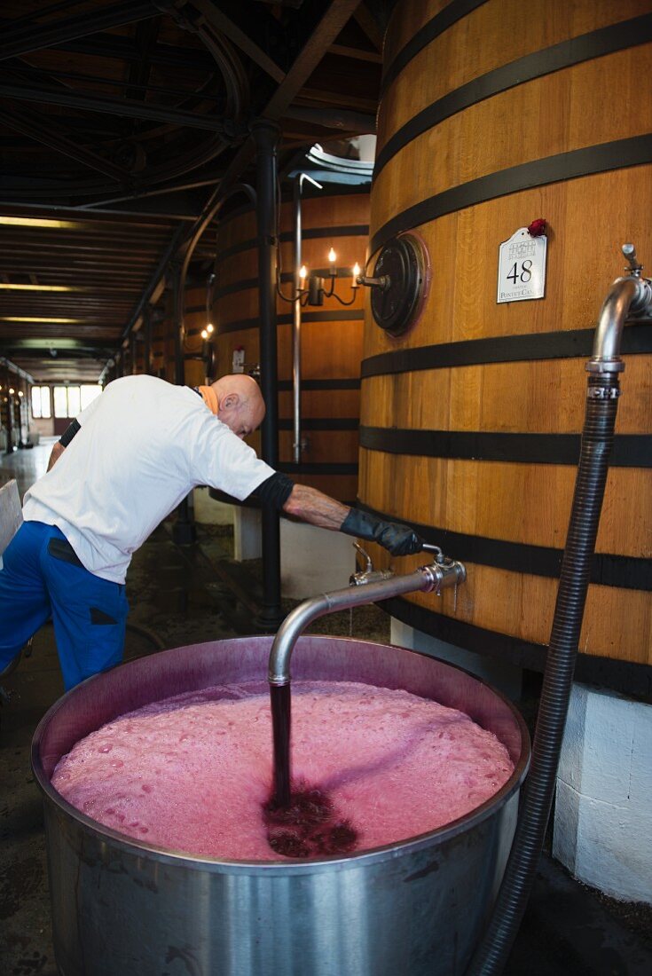 Château Pontet-Canet, young red wine being transferred and aerated