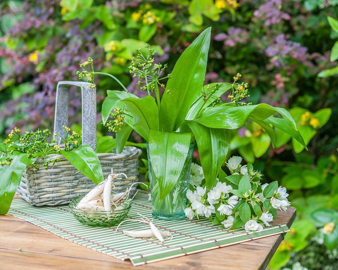 Wild garlic in a glass and a basket on a garden table