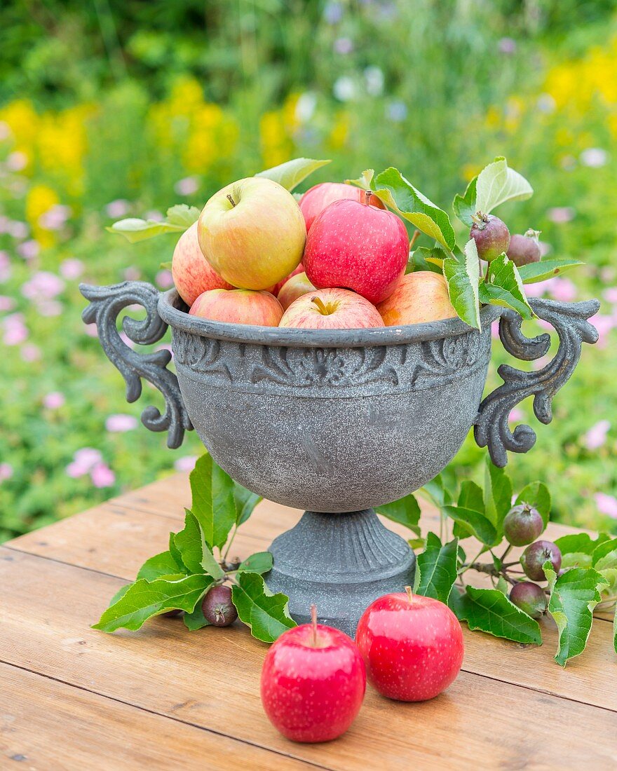 Apples in a stone amphora on a garden table