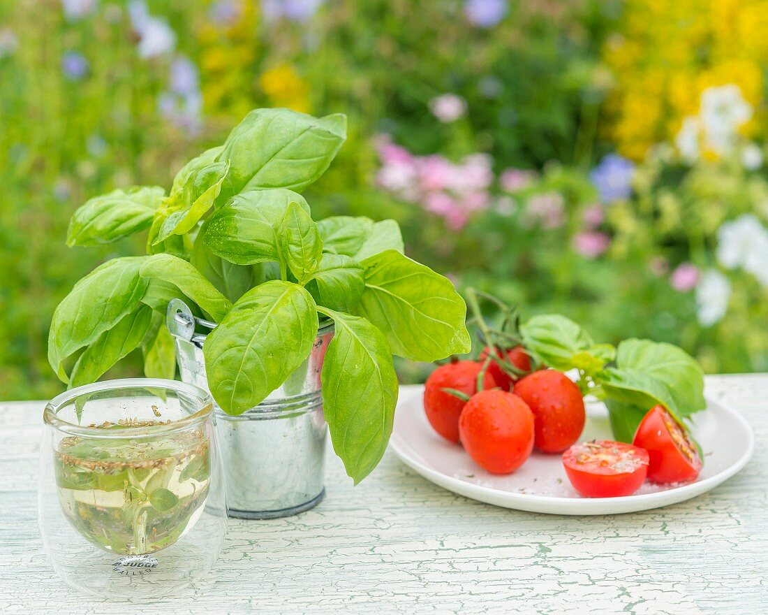 Basilikum, Tomaten und Kräuteröl auf Gartentisch