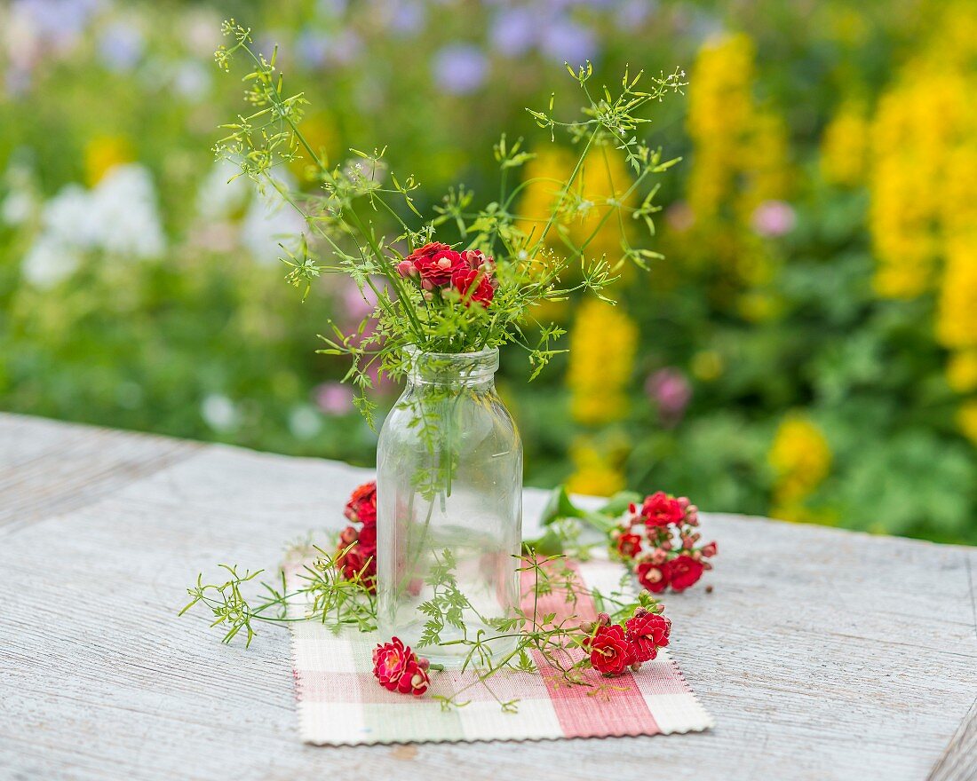 Chervil in a glass bottle on a garden table