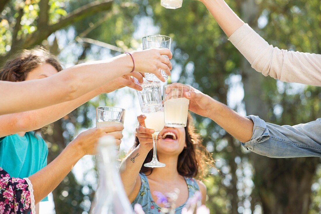 Friends raising glasses at a picnic in a park
