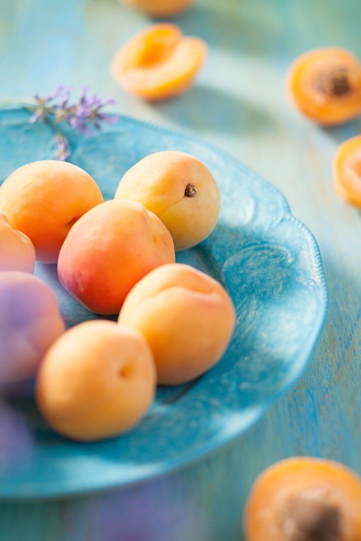 Aprikosen auf blauem Teller