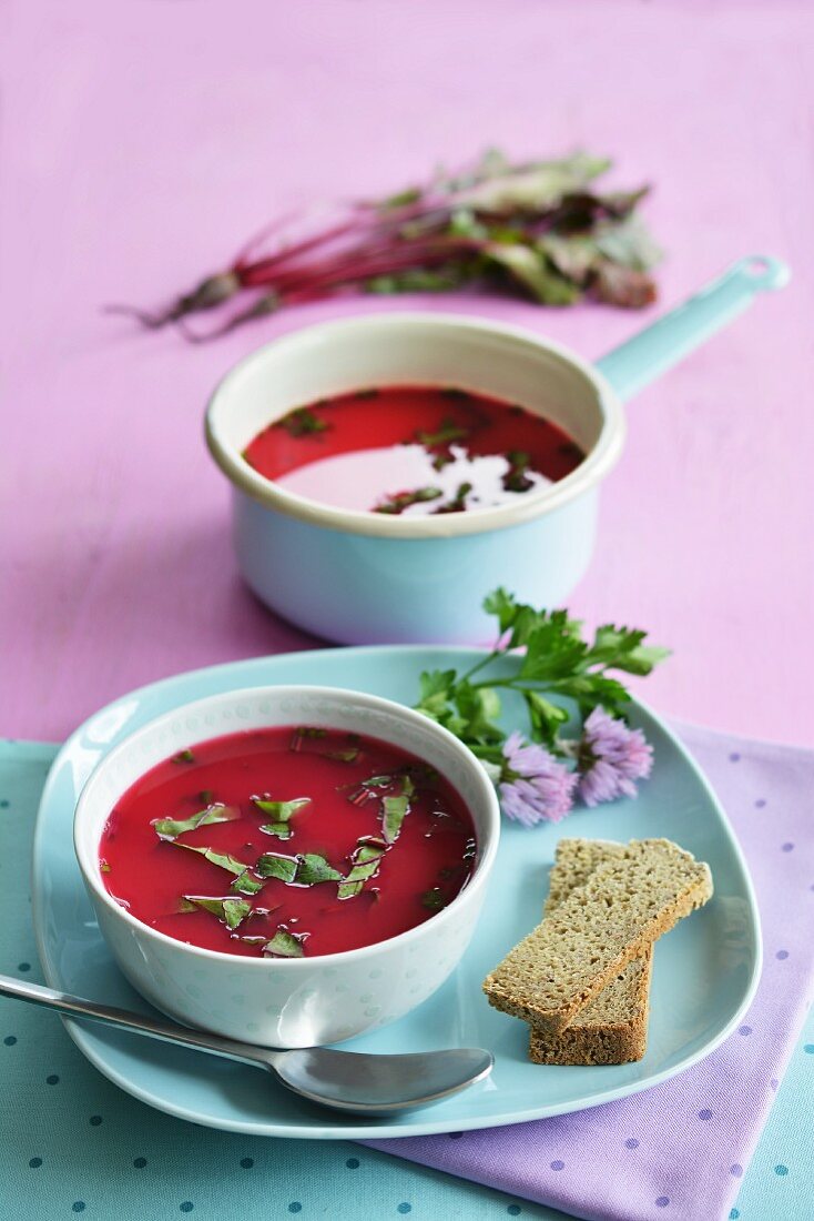 Beetroot soup with fresh vegetables in the background