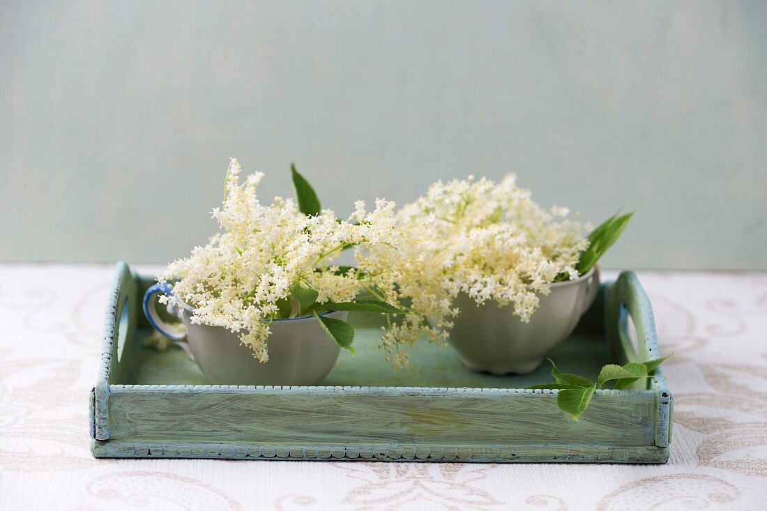 Elderflowers in cups on a wooden tray