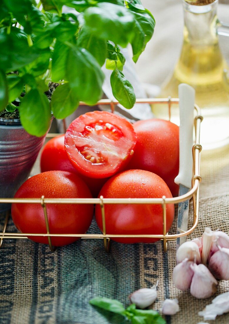 Stillleben mit frischen Tomaten, Basilikum, Knoblauch und Öl