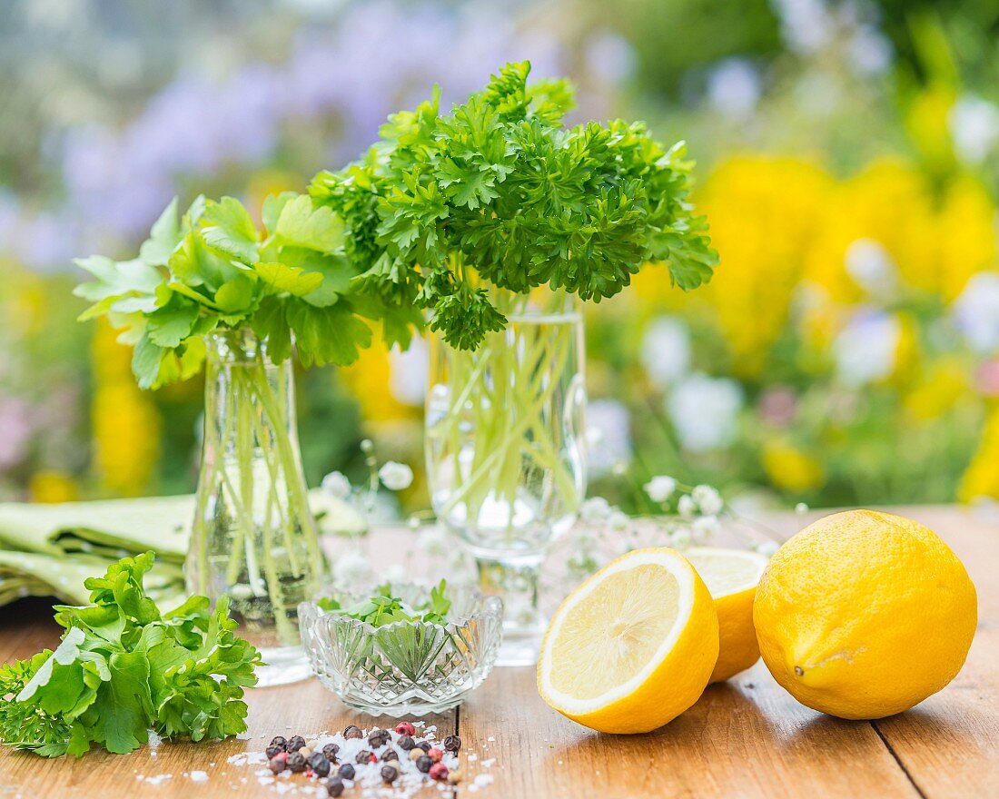 Flat-leaf and curly-leaf parsley in glasses with lemons and spices in the foreground