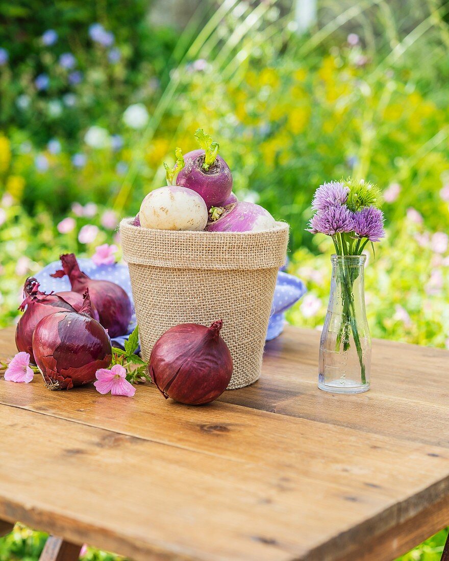 Turnips in a flower pot with red onions on a garden table