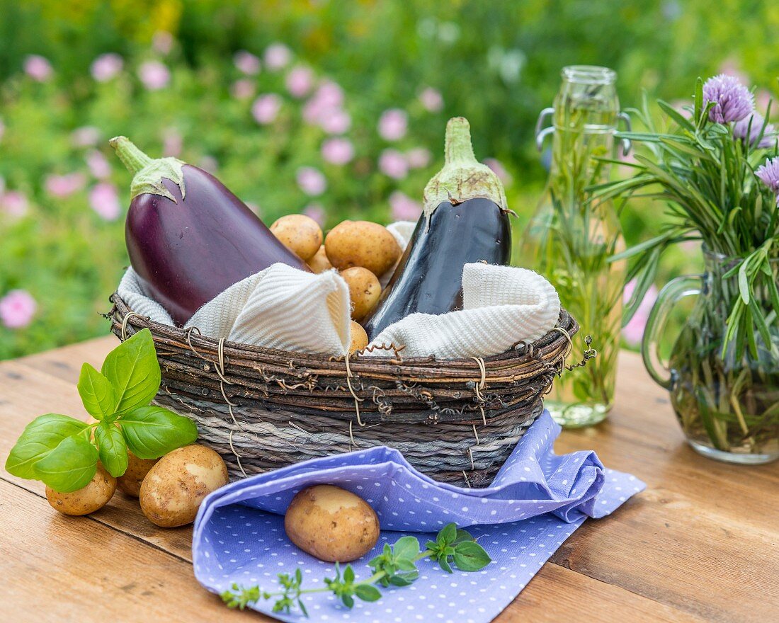 Aubergines, potatoes and herbs in a basket on a garden table