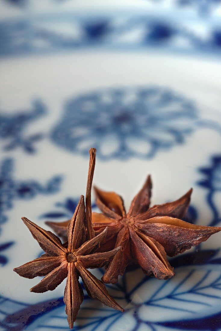 Star anise on a blue-and-white plate