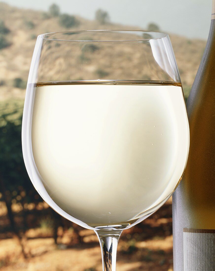 A filled white wine glass beside bottle by vineyard