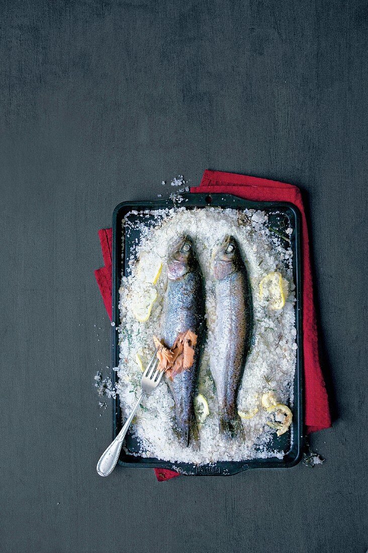 Oven-baked trout on a bed of salt