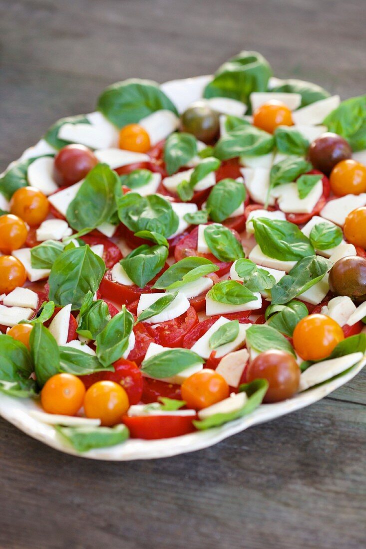Tomaten-Mozzarella-Salat mit Basilikum (Close Up)