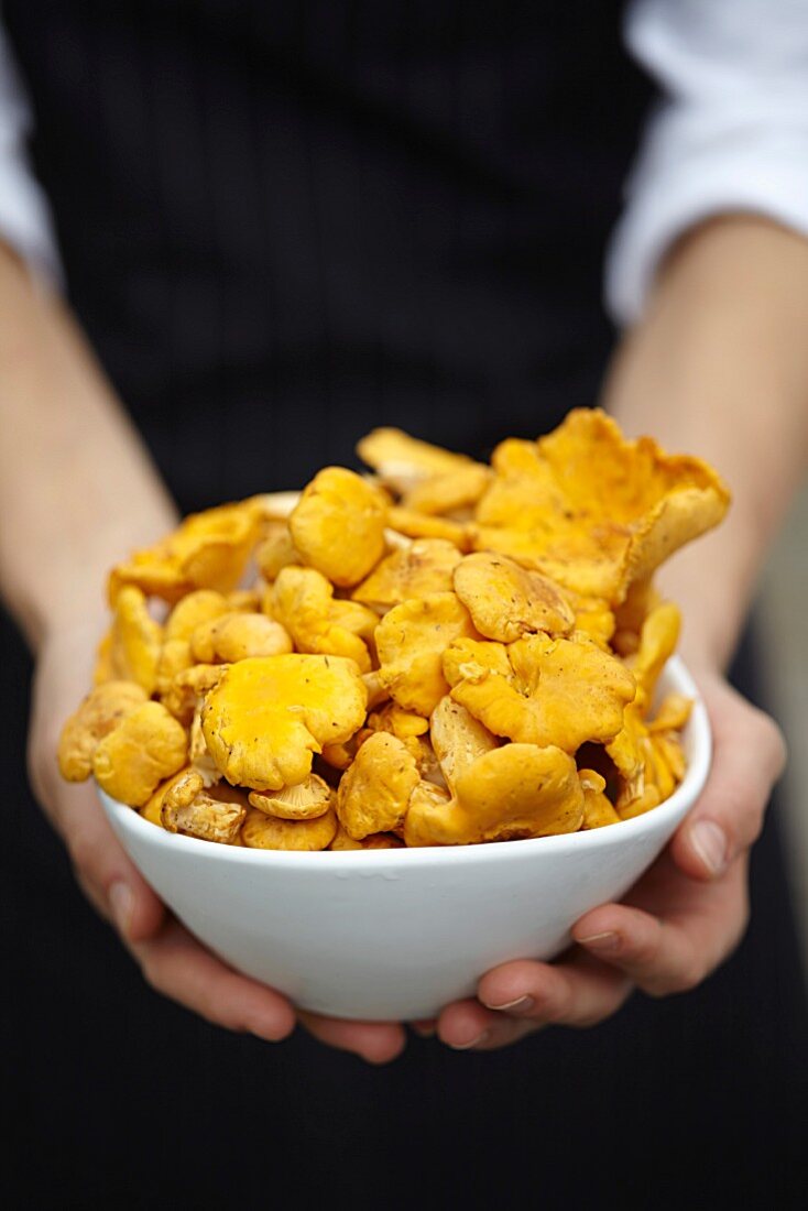 A woman holding a bowl of chanterelle mushrooms