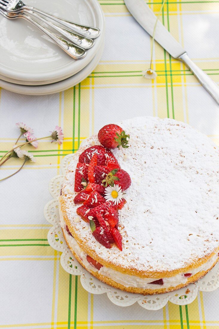 Margherita-Kuchen mit Erdbeeren, Sahne und Gänseblümchen