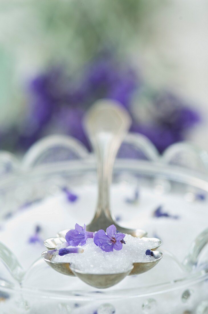 Lavendelzucker auf Silberlöffel (Nahaufnahme)
