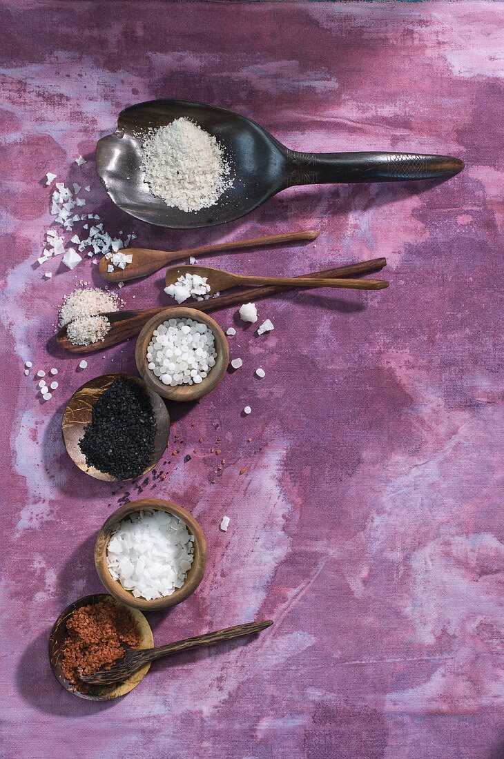 Verschiedene Salze auf Löffeln und in Schälchen auf violettem Untergrund (Aufsicht)