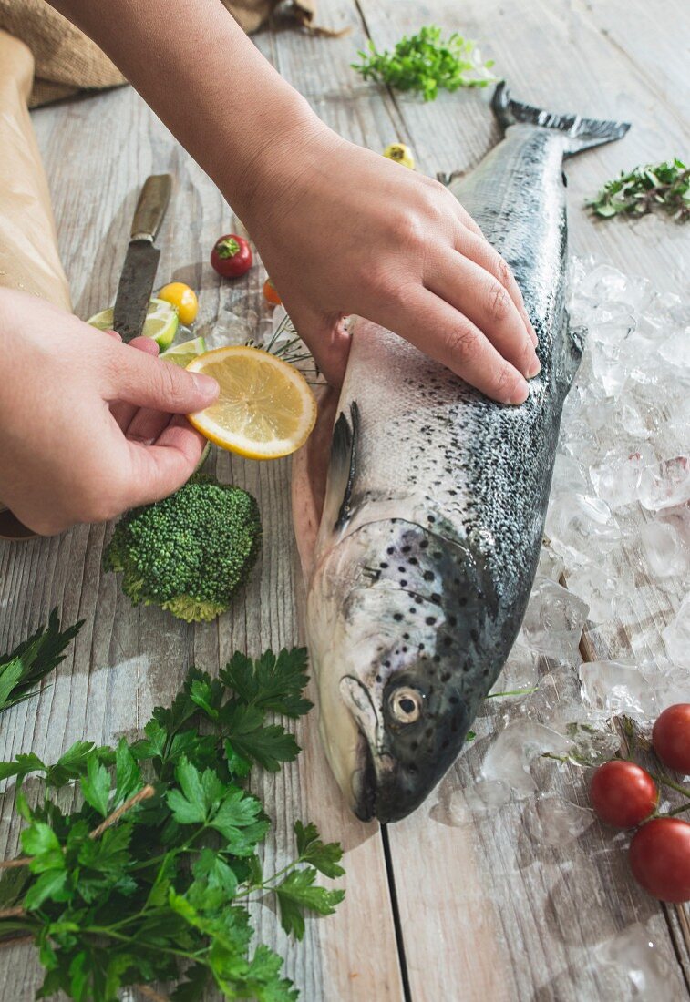 Rohen Lachs mit Zitronenscheiben füllen