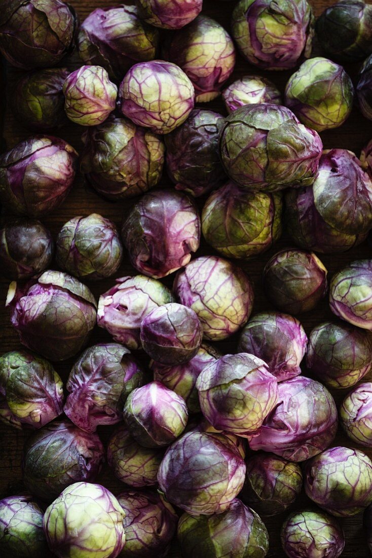 Fresh red Brussels sprouts (full frame)