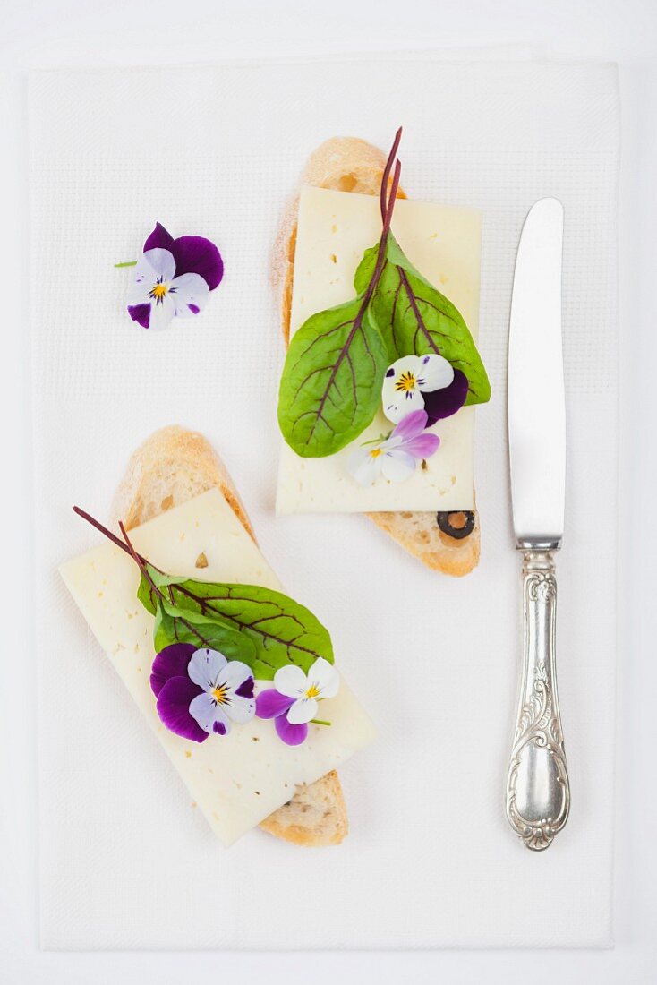 Olive baguette topped with alpine cheese, bloodwort and tufted pansies