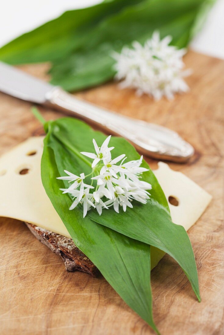 A slice of bread topped with cheese, wild garlic leaves and edible wild garlic flowers