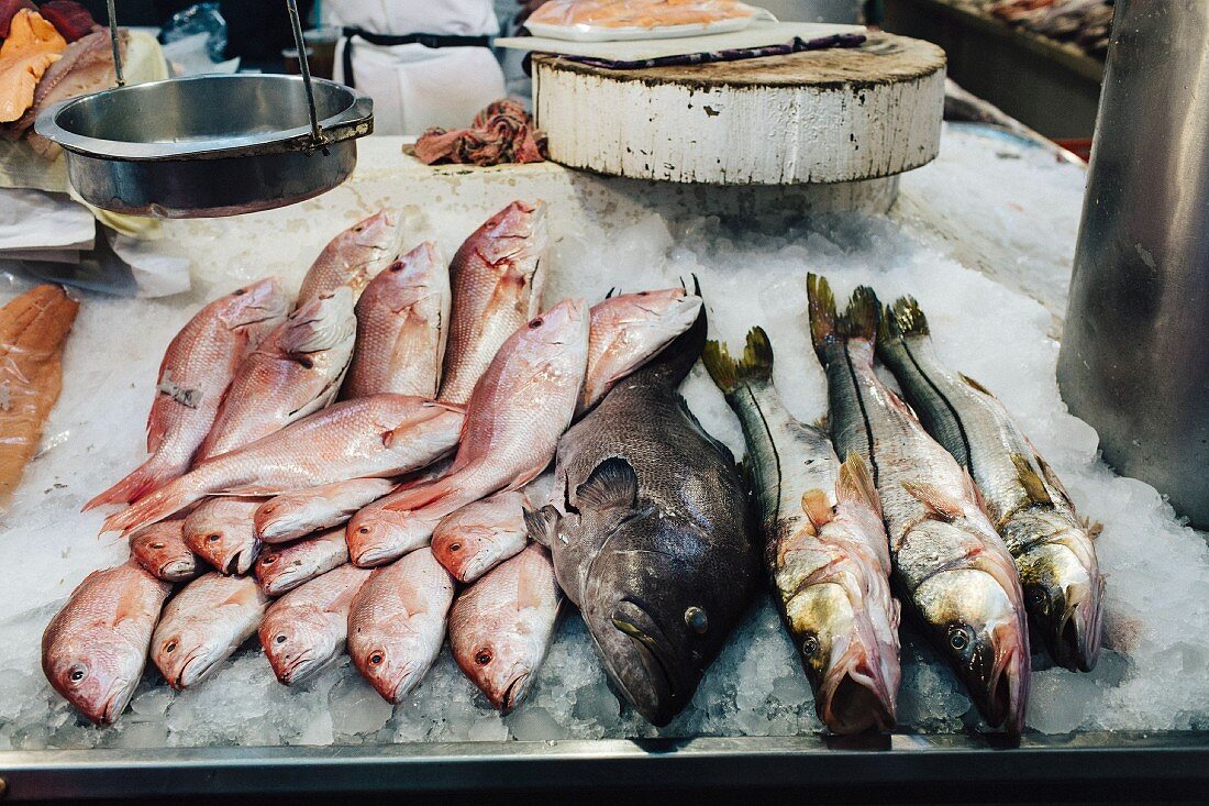Frische Fische auf einem Markt