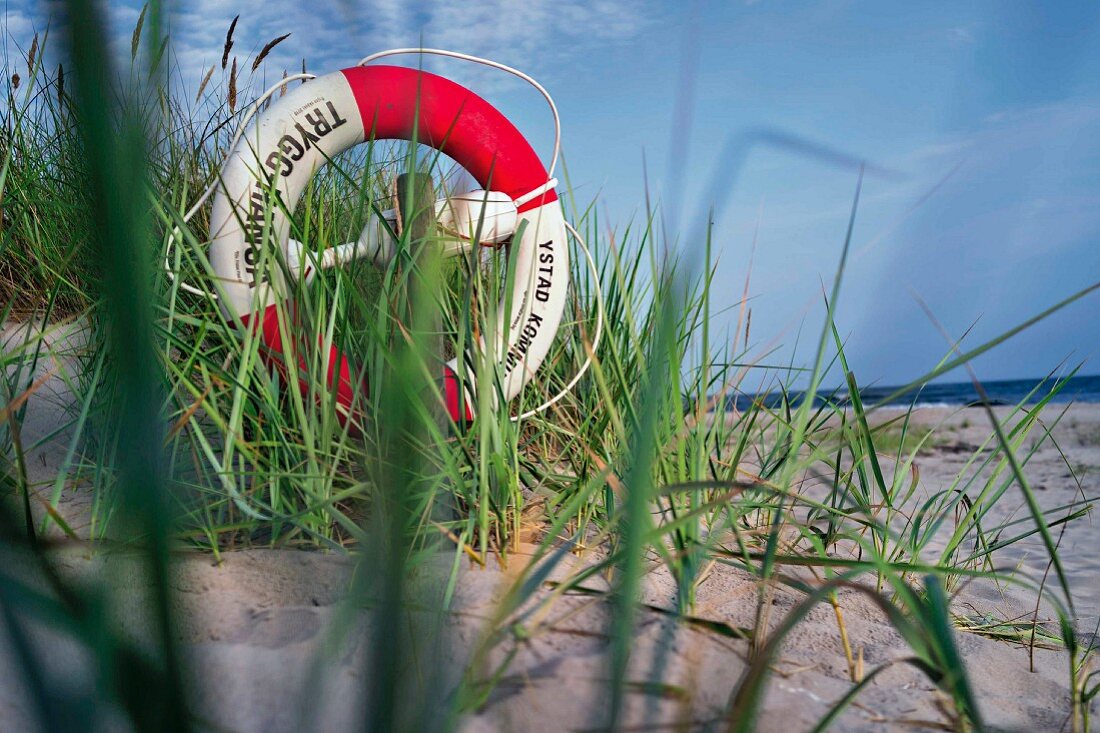 The beach at Sandhammaren near Ystad, South Sweden