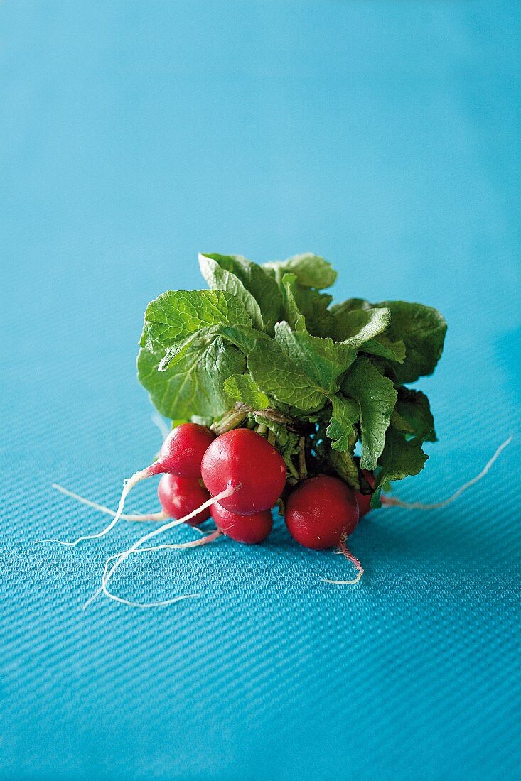 A bundle of radishes on a blue surface