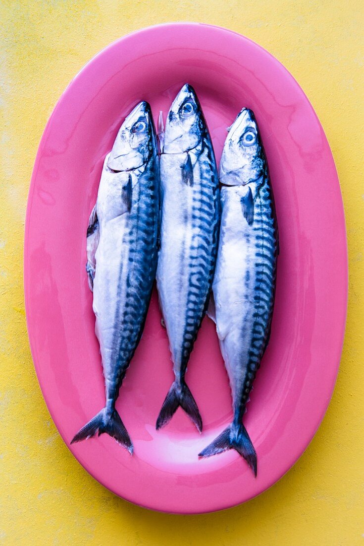 Three mackerel on a pink serving platter (seen from above)