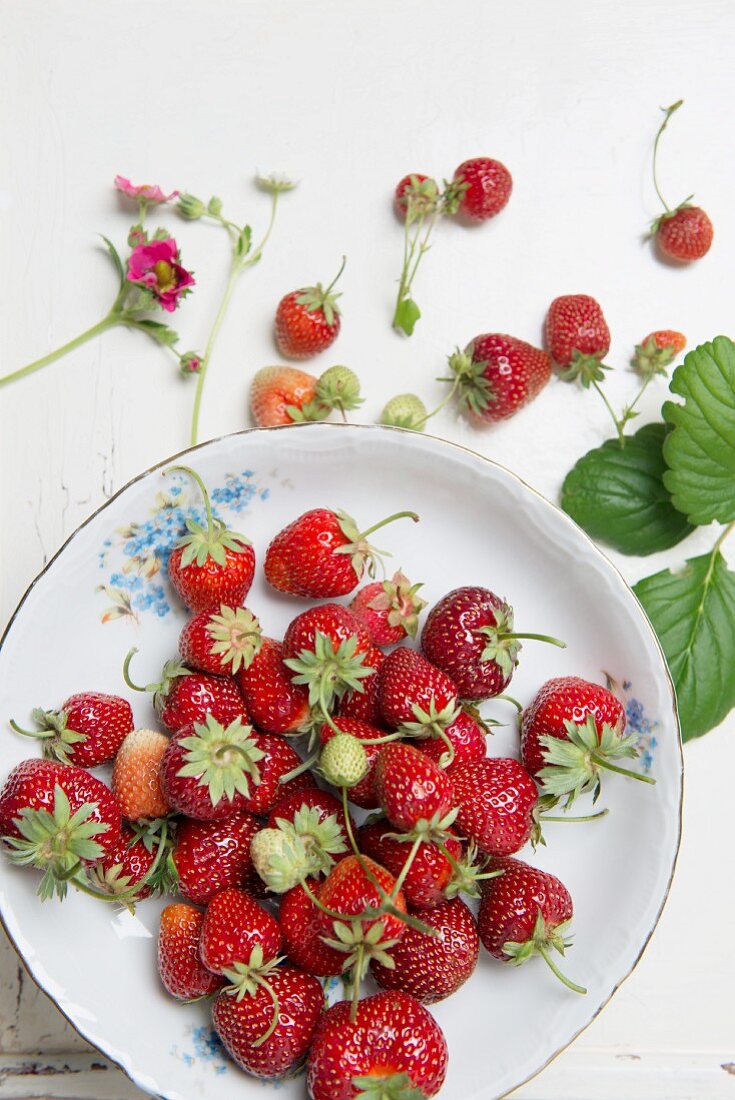 Strawberries in a porcelain bowl on a wooden surface