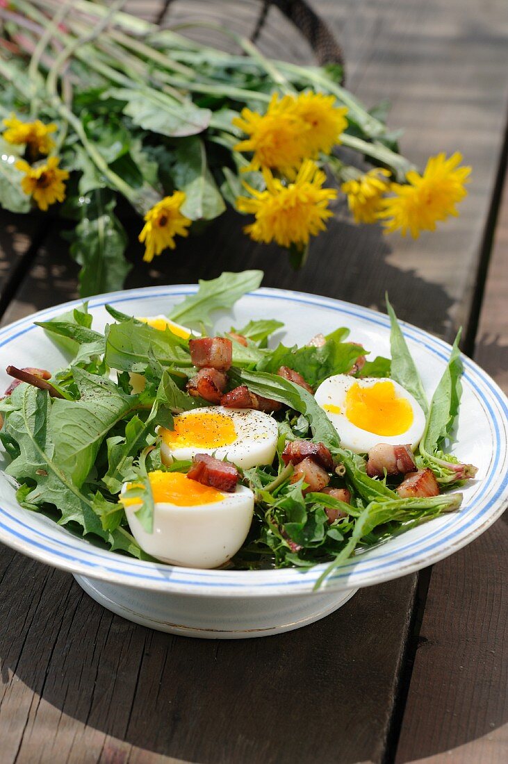 Spring salad with egg, dandelions and diced bacon