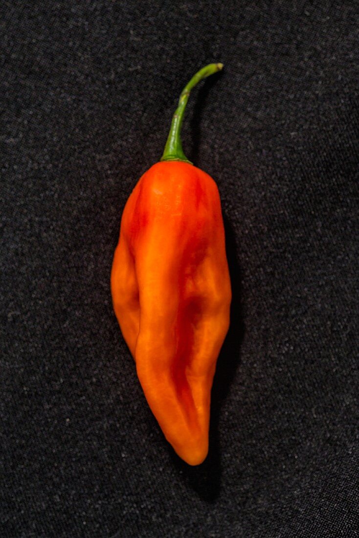 A Sbs Demon chilli pepper