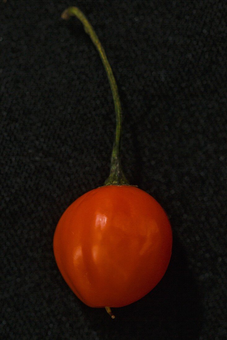 A Uvilla Grande chilli pepper