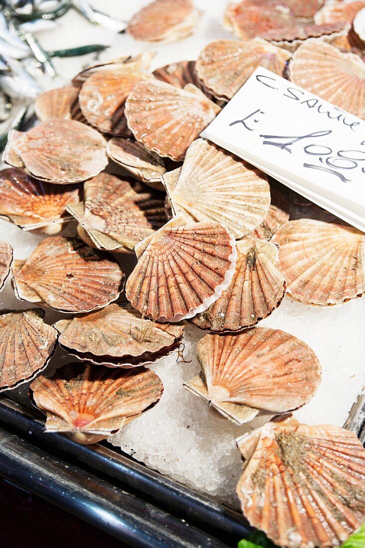 Scallops at a market