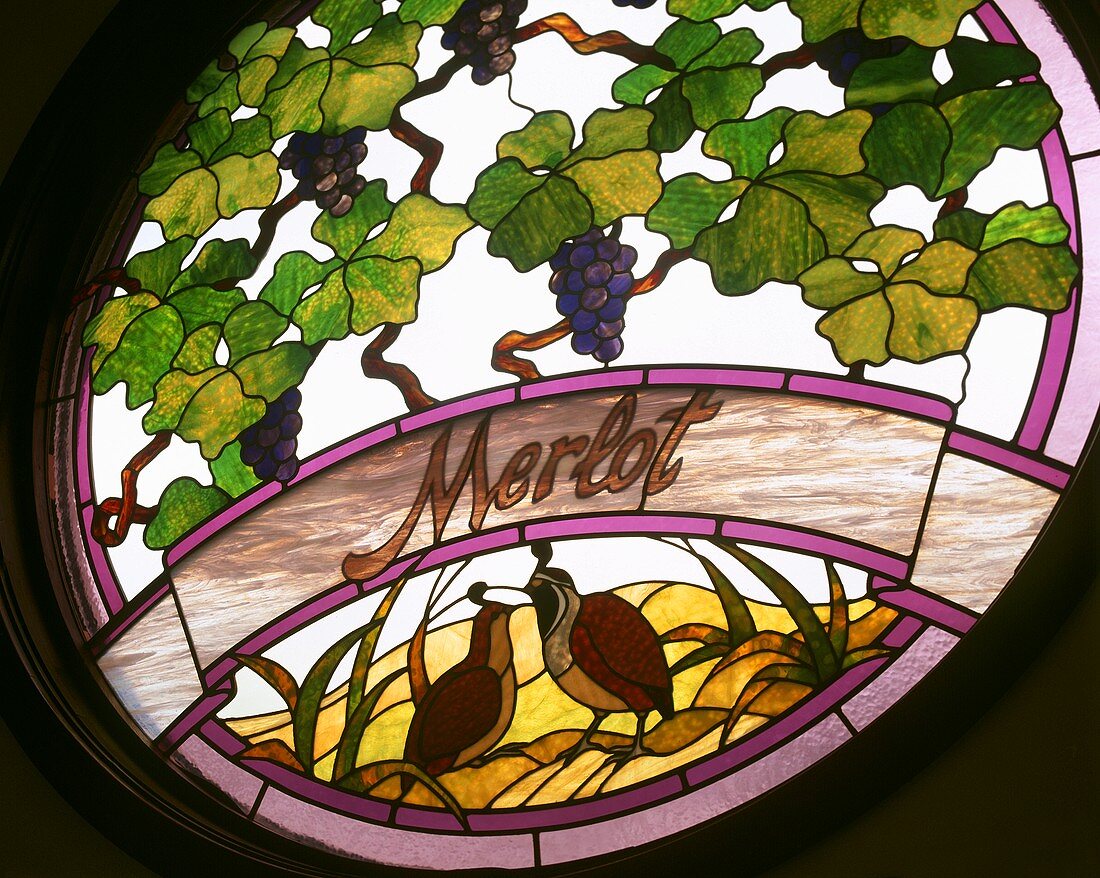 Merlot-Trauben im Fenster der Columbia Winery,Washington,USA